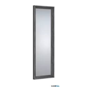   LUXERA 1390242 MANUELA fali tükör ↔50cm ↕150cm antracit