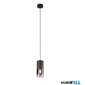   TRIO 310600132 ROBIN függeszték excl.1xE27 ↕150cm Ø10cm matt fekete