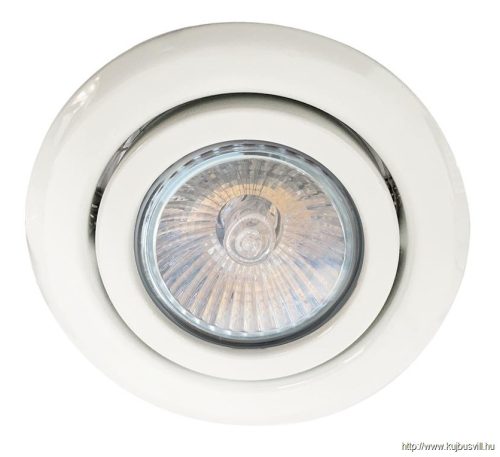 LUXERA 48619 DOWNLIGHT ELEGANT METAL MOVABLE 1xGU10/50W Ø9,7cm matt fehér