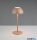 TR R54106165 RICARDO LED asztali lámpa 1,7W/240lm  3000K akku+USB-C, step ↕30cm Ø13,5cm IP54 kávébarna