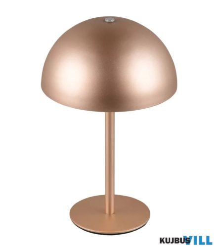 TR R54891165 MUNOZ LED asztali lámpa 1,3W/120lm 3000K ↕21cm Ø13cm kávébarna