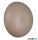 TR R24431143 DAVEY faikar 1,5W LED/140lm/3000K ↔8,4cm Ø15,5cm bézs