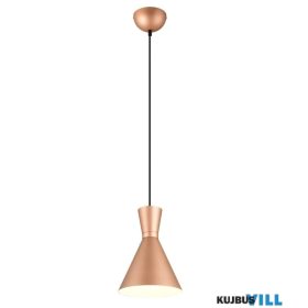   TRIO R30781065 ENZO függeszték excl.1xE27 ↕150cm Ø20cm kávé