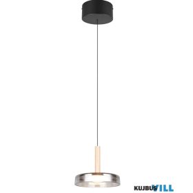   TRIO 354910132 CELESTE függeszték incl.1x10W LED/1100Lm/3000K ↕150cm Ø22cm matt fekete