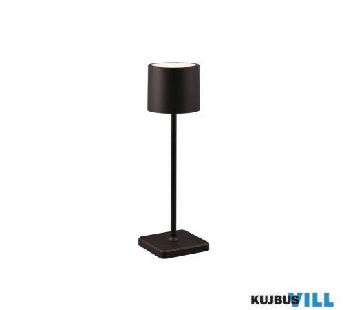 LUXERA TR54096132 FERNANDEZ kültéri dekorációs lámpa incl.1x1W LED100Lm2700 - 6500K ↕38cm Ø11cm