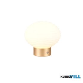   TR R57771101 EARL LED 1,5W/100lm, 3000K, akku+USB-C, step, IP20, ↕14,5cm Ø15,5cm fehér