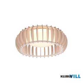   TRIO R62171130 MONTE mennyezet lámpa incl.1x16,5W LED/2200Lm/3000K ↕14cm Ø40cm fa
