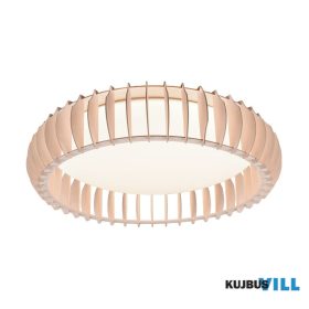   TRIO R62171930 MONTE mennyezet lámpa incl.1x38W LED/4400Lm/3000 - 6500K ↕14cm Ø60cm fa