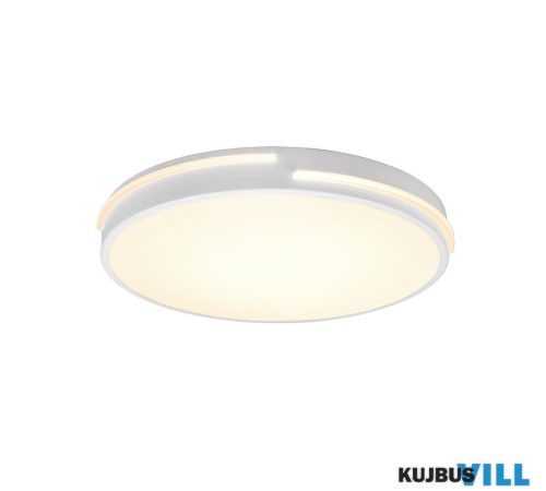 LUXERA TR62241131 TACOMA mennyezet lámpa incl.1x24W LED/2500Lm/2700 - 6500K ↕5,3cm Ø40cm