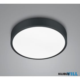   TRIO 627413032 WACO mennyezet lámpa incl.1x28W LED/3200Lm/2300+3000+4000K ↕5,5cm Ø30cm matt fekete