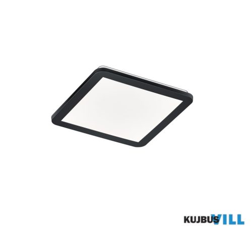 TR 62931832 CAMILLUS mennyezet lámpa incl.1x16W LED/1900Lm/3000K ↕3cm ↔30cm ↗ 30cm matt fekete
