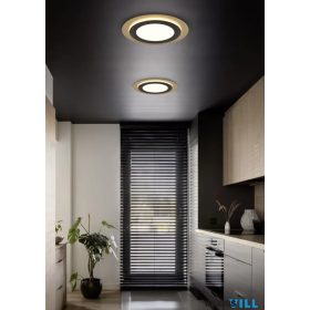   TRIO 641519280 MORGAN mennyezet lámpa 1x 50W-LED, 2700-6000K, 5000lm ↕ 4,5cm∅ 45cm fekete-arany