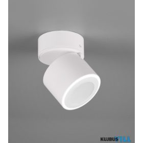   TRIO 652910131 TAURUS mennyezet lámpa incl.1x5W LED/450Lm/3000K ↕10,9cm Ø8,7cm matt fehér