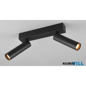   TRIO 849210232 AMBALA spotlámpa incl.2x5,5W LED/2x500Lm/2300+3000+4000K ↕17,5cm ↔26cm ↗4cm matt fekete