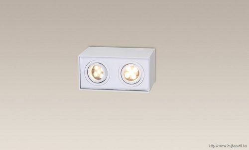 MAXLIGHT C0088 BASIC MENNYEZETI SPOTLÁMPA Moc/Power: 2 x 50W GU10 230VW: 19,5 , D: 9,5 cm, H: 12,5 cm, Wykońc