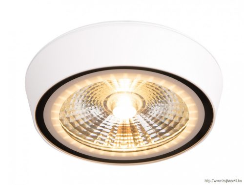 MAXLIGHT C0207 CHARON  MENNYEZETI SPOTLÁMPA Moc/Power: 1 x 12W LED 230V, 1056 LM, CRI 90+, 3000K, IP65H: 3,0 cm,