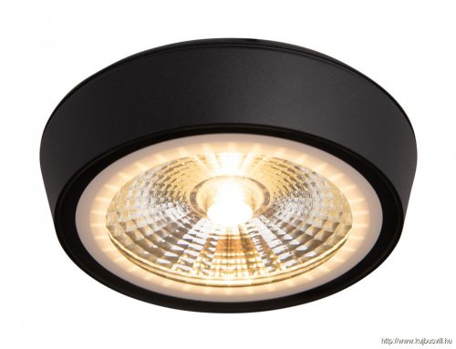 MAXLIGHT C0208 CHARON  MENNYEZETI SPOTLÁMPA Moc/Power: 1 x 12W LED 230V, 1056 LM, CRI 90+, 3000K, IP65H: 3,0 cm,