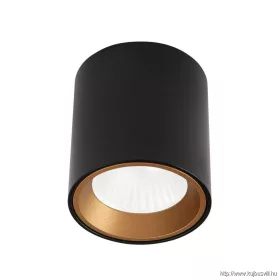 MAXLIGHT C0211 MENNYEZETI LÁMPA