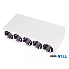 MAXLIGHT C0253 MENNYEZETI LÁMPA