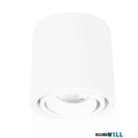 MAXLIGHT C0256 MENNYEZETI LÁMPA