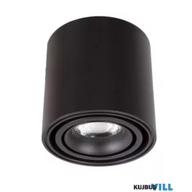 MAXLIGHT C0257 MENNYEZETI LÁMPA