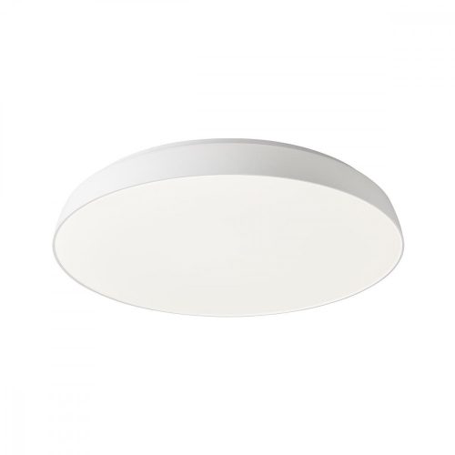 REDO 01-1681 ERIE Mennyezeti lámpa 50W 3000 K fehér