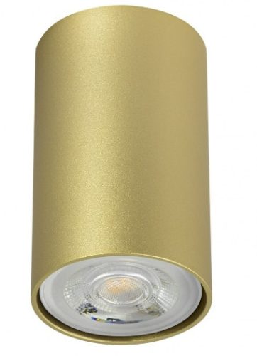 REDO 01-2149 AXIS Mennyezeti lámpa 1 x 35W  matt arany