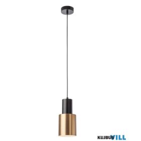   REDO 01-3080 AURUM Függeszték 1 x max 15W  matt fekete, sárgaréz