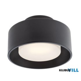 REDO 01-3098 PUNKT Mennyezeti lámpa 6W 3000K matt fekete