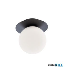   REDO 01-3129 HAIKU Mennyezeti lámpa 1 x max 28W  matt fekete