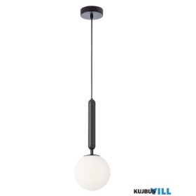 REDO 01-3131 HAIKU Függeszték 1 x max 28W  matt fekete