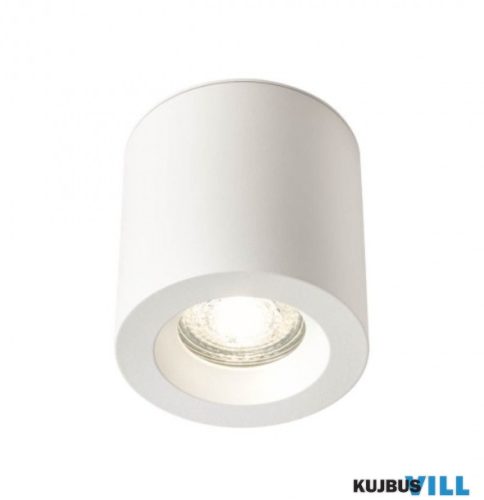 REDO 01-3351 PRATO Mennyezeti lámpa 1 x max 35W  matt fehér