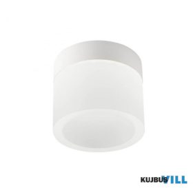 REDO 01-3357 Mennyezeti lámpa NAIDA PL 1x6W LED SWH (5.1.2)