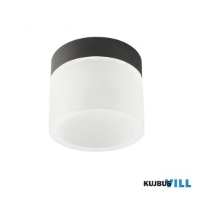 REDO 01-3359 Mennyezeti lámpa NAIDA PL 1x6W LED SBK (5.1.2)