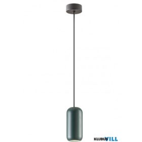 REDO 01-3475 BOOM Függeszték 1 x 10W  matt zöld