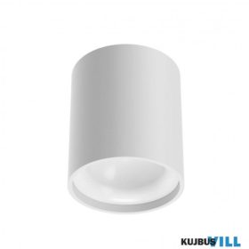   REDO 01-3673 Mennyezeti lámpa HERA PL LED 6.5W 3000K WH (5.1.2)