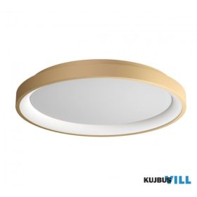   REDO 01-3906 Mennyezeti lámpa ICONIC PL LED 40W 3000/4000 GD (5.1.2)