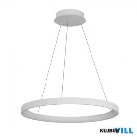   REDO 01-3911 Függeszték ICONIC SU LED 50W 3000/4000 WH (4.1.2)