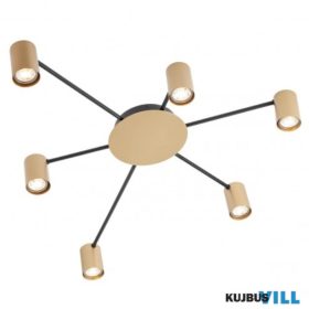   REDO 01-4051 NOA Mennyezeti lámpa 6X10W  matt fekete, matt arany