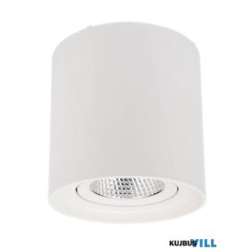 REDO 70432 PC Mennyezeti lámpa 10W 3000K matt fehér