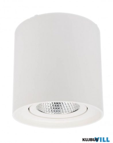 REDO 70432 PC Mennyezeti lámpa 10W 3000K matt fehér