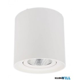 REDO 70433 PC Mennyezeti lámpa 10W 4000K matt fehér