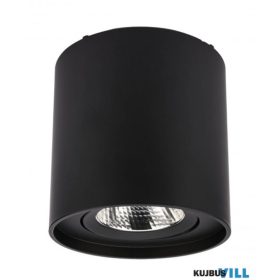 REDO 70437 PC Mennyezeti lámpa 10W 4000K matt fekete