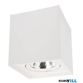 REDO 70438 PC Mennyezeti lámpa 10W 3000K matt fehér