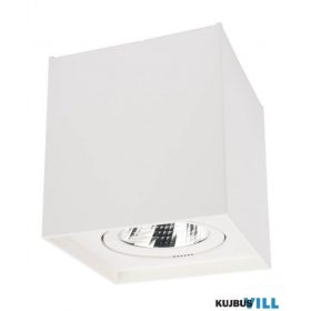 REDO 70439 PC Mennyezeti lámpa 10W 4000K matt fehér