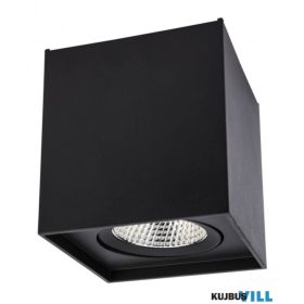 REDO 70442 PC Mennyezeti lámpa 10W 3000K matt fekete