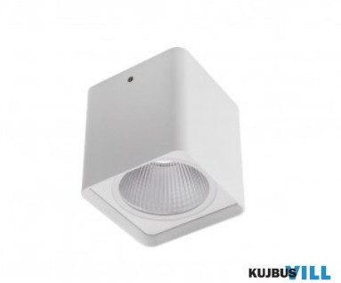 REDO 90031 XIA Kültéri mennyezeti lámpa 20W COB LED 4000 K fehér