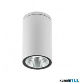   REDO 90081 Kültéri mennyezeti lámpa RAM PL LED COB 4W IP65 SWH 3000K (Ro)(5.6)