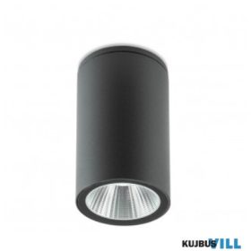   REDO 90082 Kültéri mennyezeti lámpa RAM PL LED COB 4W IP65 DG 3000K (Ro)(5.6)