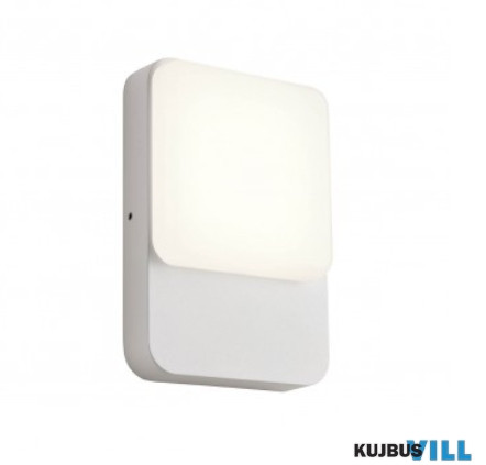 REDO 90128 COLIN Kültéri fali lámpa 9W LED 4000 K fehér